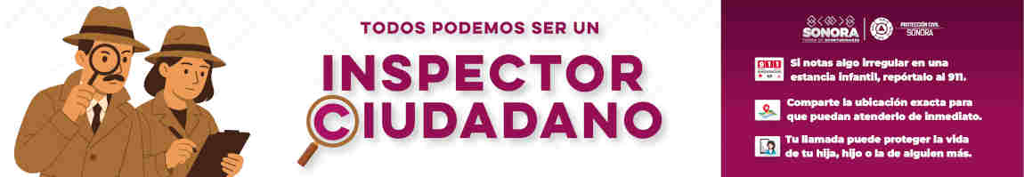 Inspector Ciudadano